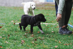 37-DSC09513